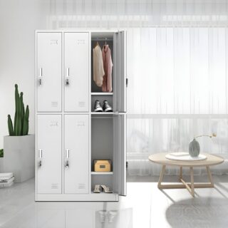 6-Lockers Metallic Cabinet